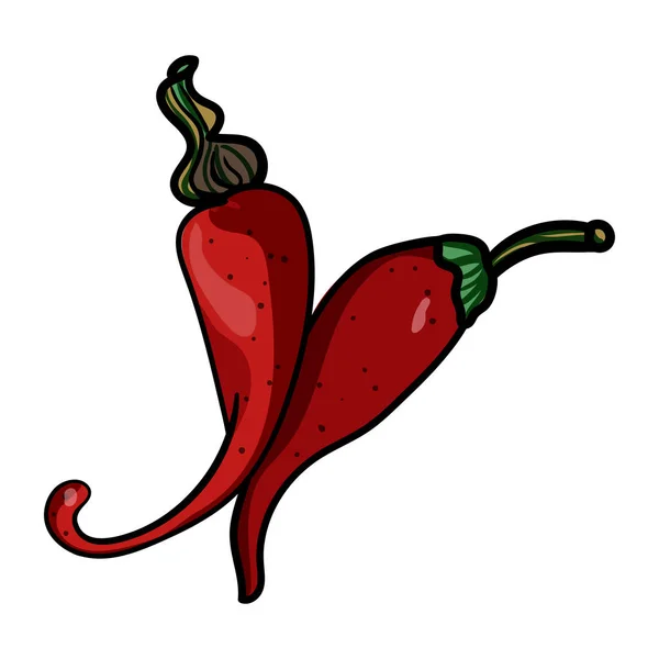 Vetor Chilli. Doodles isolados. Cozinha vegetariana. Ilustração botânica do pimentão. Alimentos veganos orgânicos - Vetor — Vetor de Stock