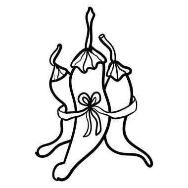 Kırmızı acı biber. Boyama sayfası ya da yetişkin kitaplar ve çocuklar. Üç acı biberli karalama. Vejetaryen mutfağı. Kırmızı biberin botanik çizimi. - Vektör