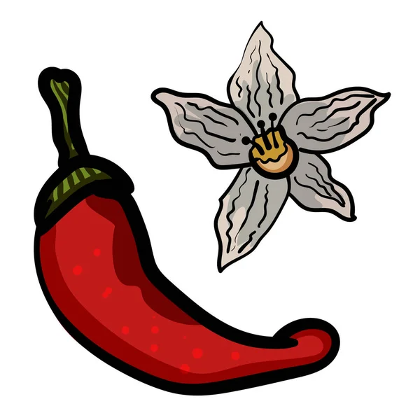 Doodle Illustratie Van Rode Hete Chili Peper Plantaardig Eten Rijp — Stockvector
