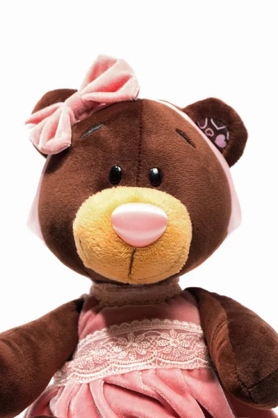Portrait of a plush teddy bear toy. — Stock Photo, Image