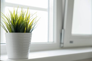 Yeşil çimenlerin üzerinde pencere ile beyaz pot