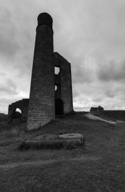 Chminey ve sahipsiz binasında Magpie benim siyah beyaz