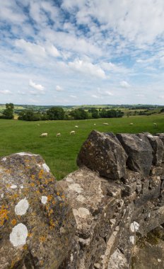 Bakewell, Derbyshire yakınındaki kırsal sahne