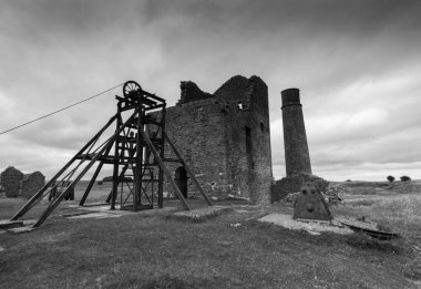 Magpie mayın binalar siyah beyaz