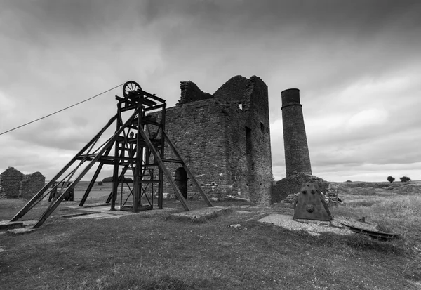 Magpie mayın binalar siyah beyaz