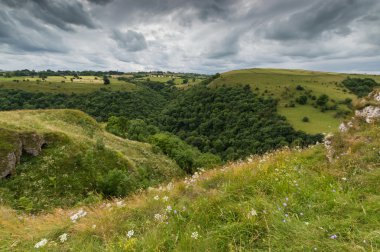 Kır çiçekleri bir tepenin üstüne