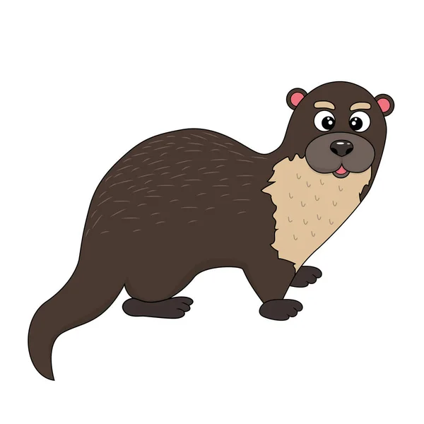 Funny cartoon otter — Stock Vector