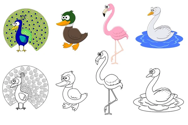 Página del libro para colorear para niños preescolares con pájaros coloridos y bosquejo para colorear . — Vector de stock