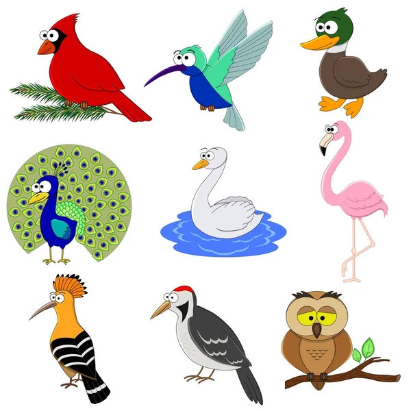 Set di cartoni animati uccelli divertenti . — Vettoriale Stock
