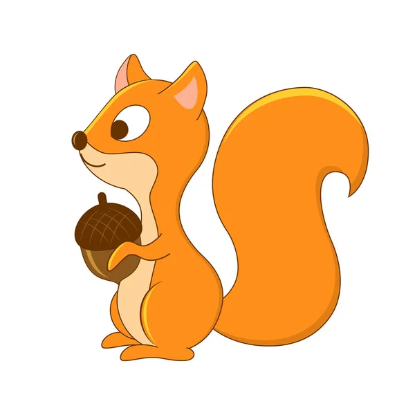 Carino scoiattolo dei cartoni animati. Animali della foresta. Animali del bosco. Vettore — Vettoriale Stock
