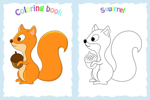 Kolorowanki książki dla dzieci w wieku przedszkolnym z kolorowe wiewiórka — Wektor stockowy