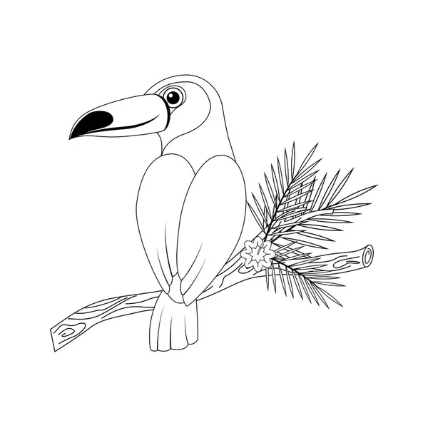 Incolore drôle de dessin animé toucan. Illustration vectorielle. Coloriage pa — Image vectorielle