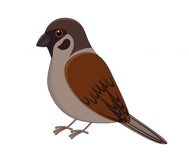 Serçe çizimde düz bir stil. Beyaz backgr izole