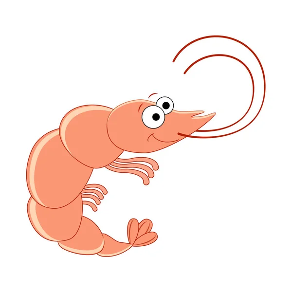 Cute cartoon shrimp. Sea animals. Sea food. Vector illustration — Stock Vector