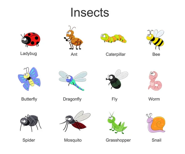 Gran conjunto con insectos de dibujos animados lindos. Ilustración de insectos vectores i — Archivo Imágenes Vectoriales