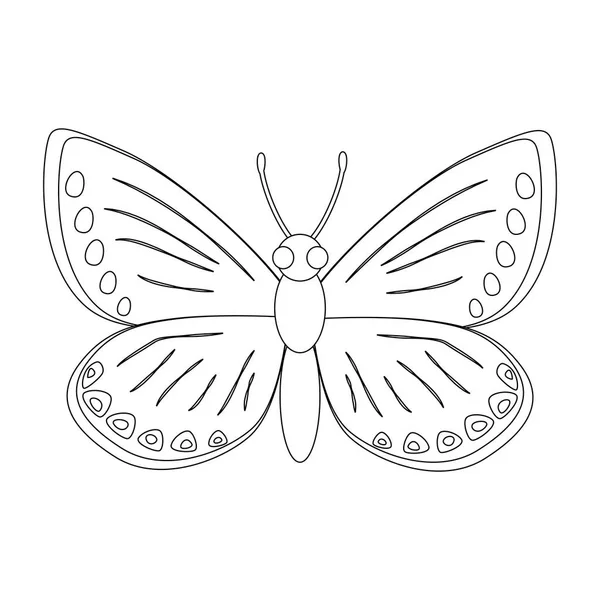 Ilustración vectorial de mariposa incolora aislada sobre fondo blanco — Archivo Imágenes Vectoriales