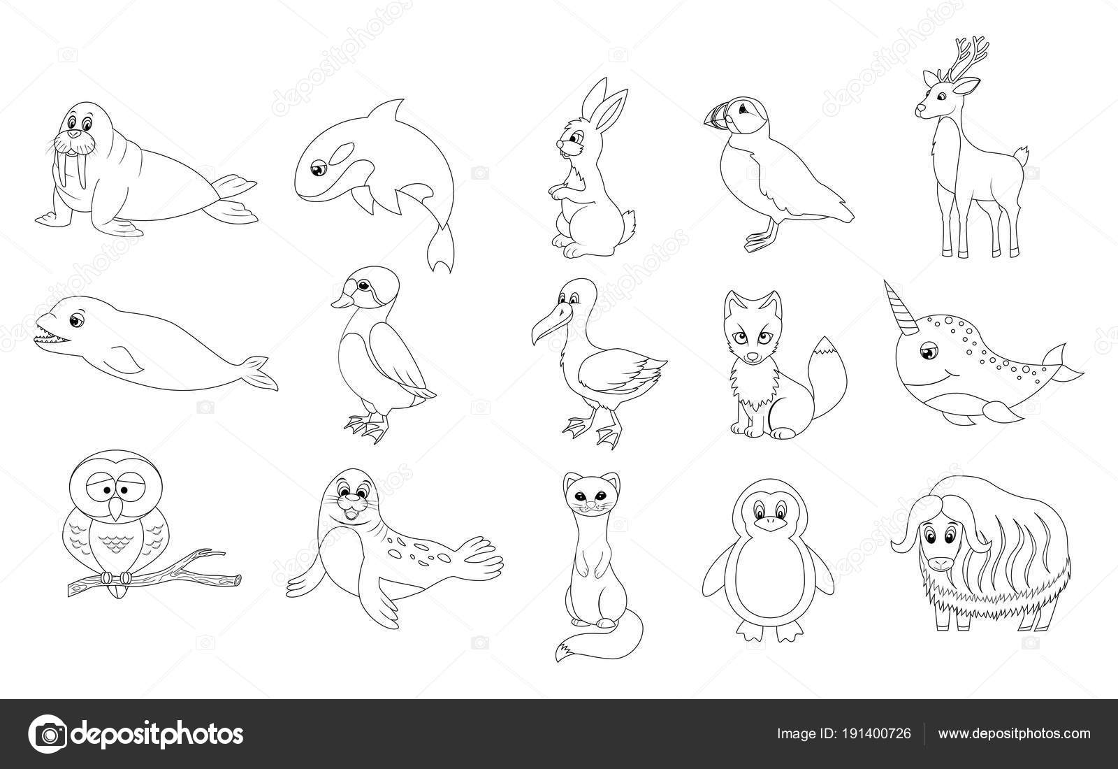 Desenho de Animais de quinta para Colorir - Colorir.com