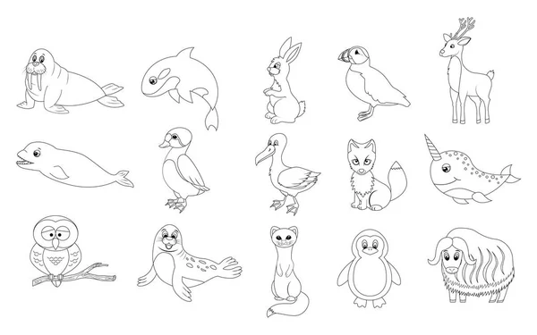 着色书页与15卡通北极动物。矢量 illus — 图库矢量图片