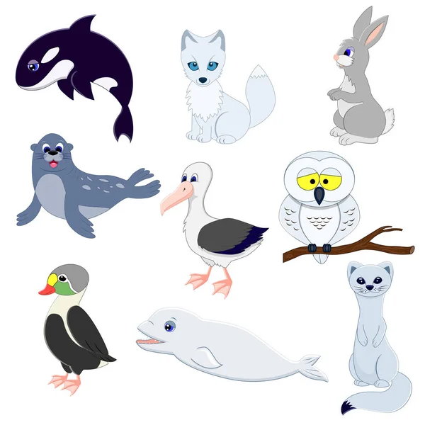 Conjunto de dibujos animados divertidos animales árticos . — Vector de stock