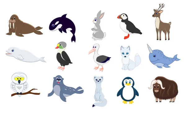 Gran conjunto de animales del norte . — Vector de stock