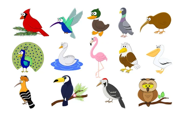 Большой набор мультяшных смешных птиц. Коллекция птиц. Векторная иллюзия — стоковый вектор