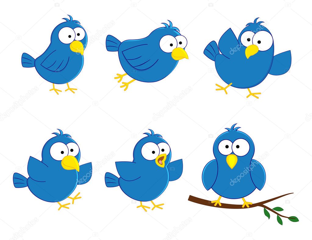 Cartoon blue birds character setwith different poses. Vector ill
