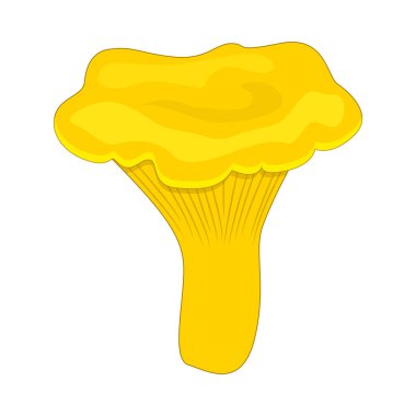 Çizgi film chantarelle mantar