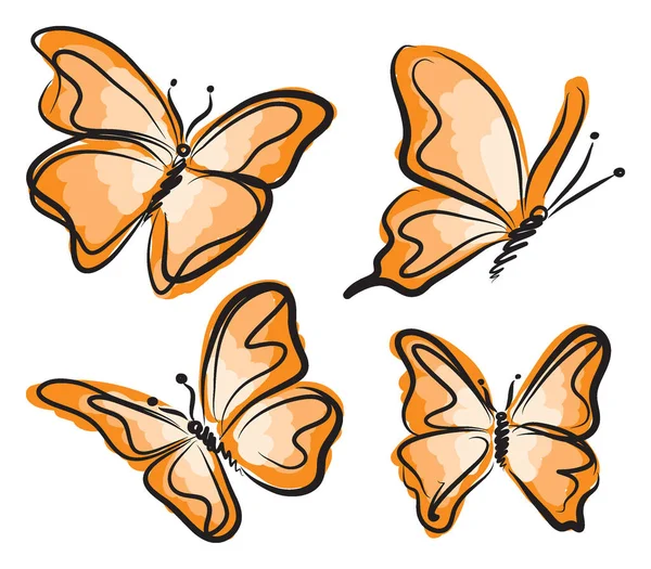 Ilustração borboleta vetor laranja — Vetor de Stock