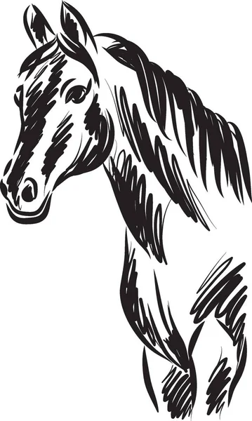 Paard vector tekening van illustratie — Stockvector