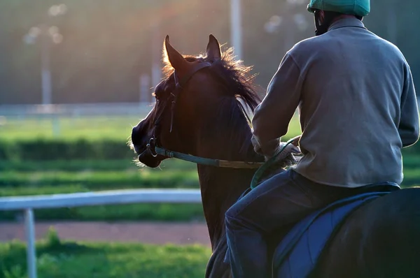 Cavalo de corrida e o cavaleiro no início da manhã em um hipódromo — Fotografia de Stock