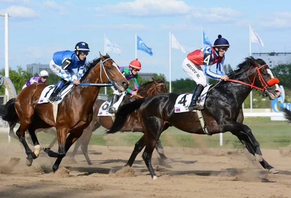 Tres caballos de carreras pura sangre en movimiento — Foto de Stock