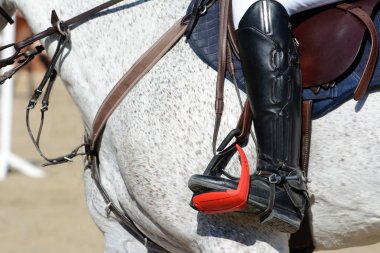 Gri spor at ve biniciler üzerinde dörtnala. At atlama ayrıntılarda.