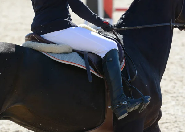 Black sport horse and rider on gallop. Horse show jumping in details.