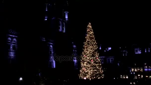 Brüksel Grand Place Noel 2016 ağaç. — Stok video