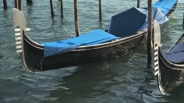 Venice, Italië-gedokt lege gondels detail. — Stockvideo