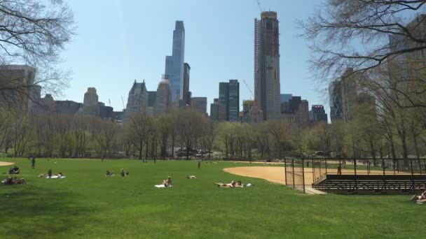 Central Park menigte ontspannen op gras. — Stockvideo