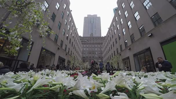 New York, Amerikai Egyesült Államok - április 13 2017: A Rockefeller Center csatorna Gardens nap nézetben. — Stock videók