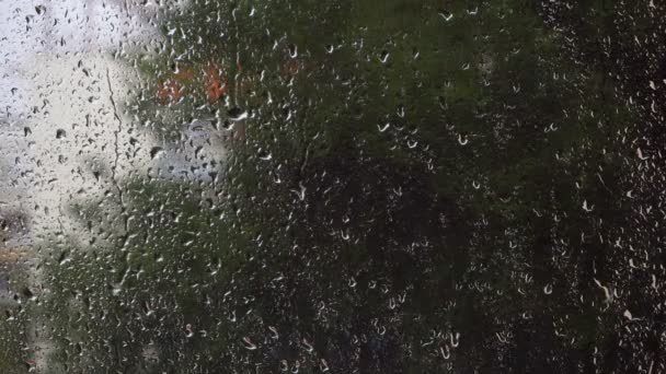 Gouttes de pluie tombant sur fenêtre en verre avec fond vert flou nature . — Video