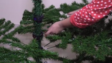 Evin içinde yeşil Noel ağacı monte ediliyor. Kadın eli, şenlikli bir çam ağacına yapay dallar ekliyor..