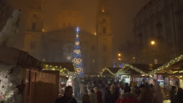 Budapest Hungría Diciembre 2019 Mercado Navidad Stephen Basilica Vista Nocturna — Vídeo de stock