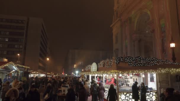 Budapest Hungary 2019 Stephen Square 크리스마스 식사와 와인을 곁들인 전통적 — 비디오