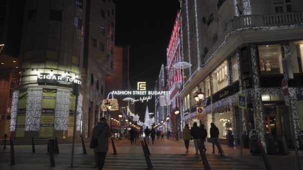Budapeşte Macaristan Aralık 2019 Fashion Caddesi Ndeki Noel Pazarı Aydınlatılmış — Stok video