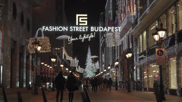 Budapest Ungern December 2019 Julmarknad Upplyst Träd Fashion Street Adventsfestliga — Stockvideo