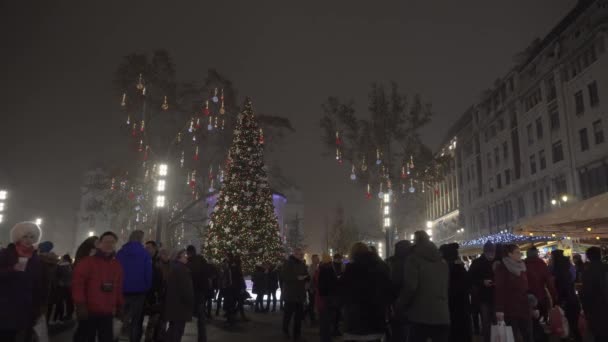 ブダペスト ハンガリー 12月08 2019 ヴォロスマティ広場で群衆とクリスマスマーケット 伝統的な季節の食べ物やワインの屋台でのお祝いの装飾の夜景 — ストック動画
