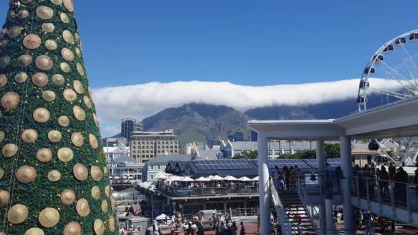 Kapstaden Sydafrika December 2019 Turister Längs Victoria Alfred Vattnet Solig — Stockvideo