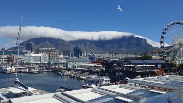 Cape Town South Africa December 2019 Tourists Victoria Alfred Waterfront — Stock Video