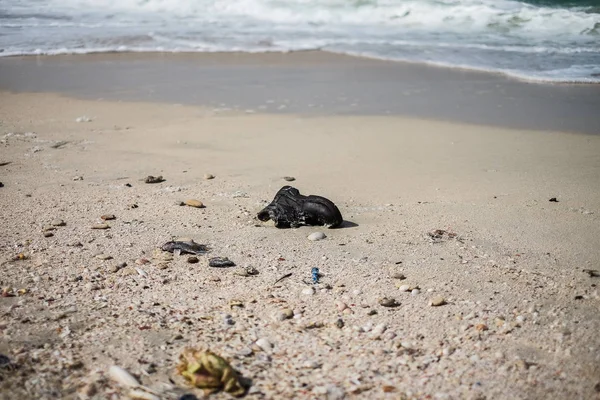 Garbage on the city beach. Pollution of the world\'s oceans with household waste, clothing and plastic. Territory of ecological disaster