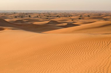 Rub al-Khali çölündeki çöl manzarası. Çöldeki kum tepelerinin dokusu sarı ve turuncudur. Kırmızı ve sarı kum tepeleri