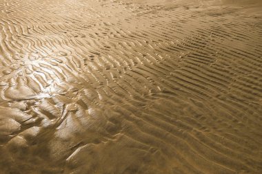 Islak kum dokusu. Gün batımında deniz alçalınca sarı kumlu bir sahil. Günbatımında Basra Körfezi 'nde. Gradyan ve tahıllı arkaplan rengi
