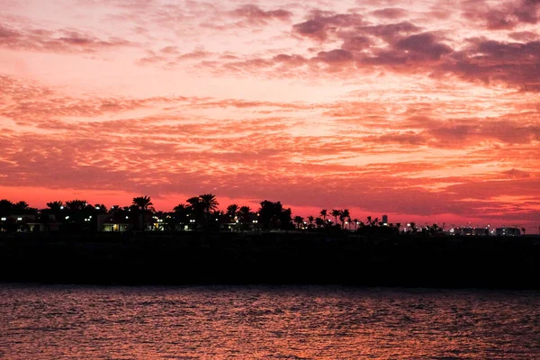 Bae Günbatımı Deniz Palmiye Ağaçları Manzaralı Bir Asya Ülkesinde Gün — Stok fotoğraf